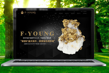 ��Ӫ�������ﱦʯ